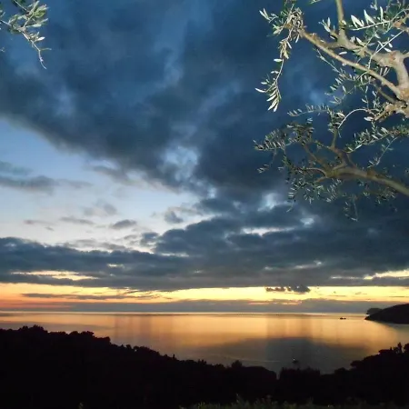 Villatramontistella Capoliveri (Isola d'Elba)